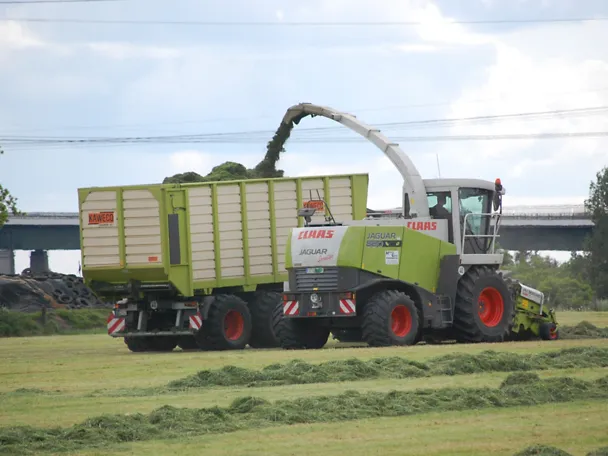Grassilage Siliermanagement