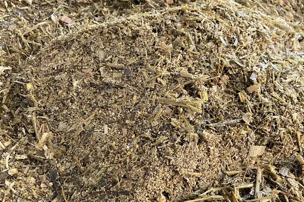 Step 5 of the bucket test