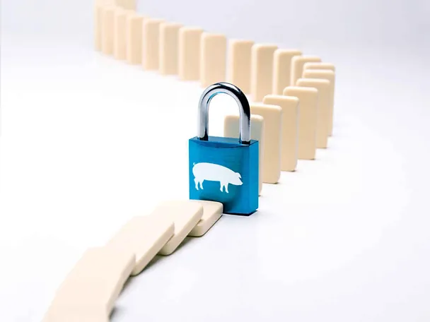 Symbolbild: SCHAUMACID-Futtersäuren stoppen den Infektionskreislauf