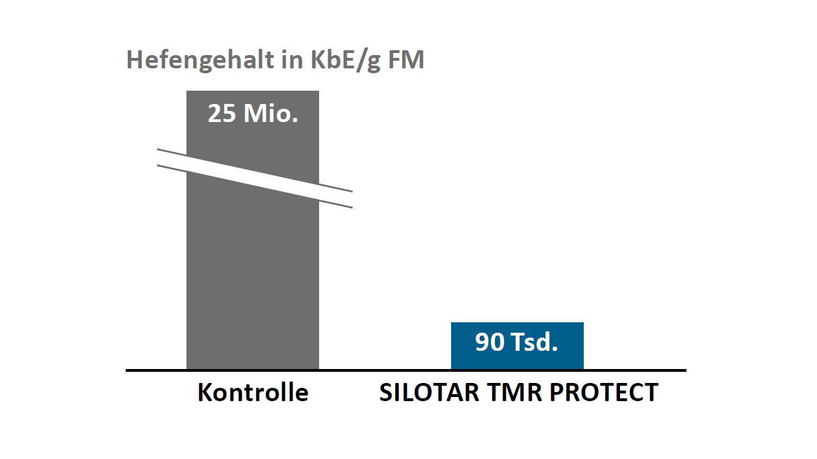 SILOSTAR TMR PROTECT senkt den Hefenbefall im Futter
