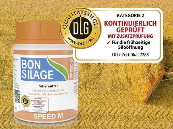 Maissilage