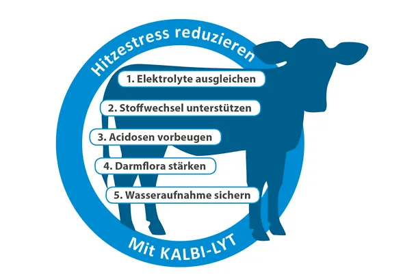 KALBI-LYT gleicht Schweißverluste aus