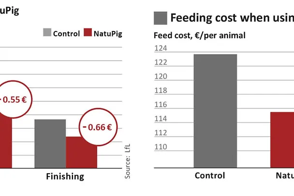 Feed cost comparison when using NatuPig
