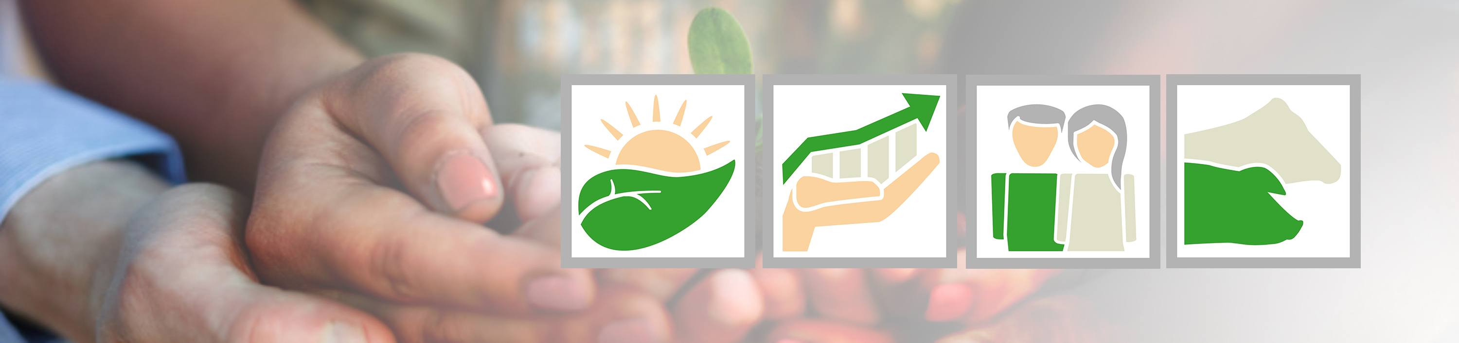 de_fot_54706135_haende_nachhaltigkeit_icons_3000x710px